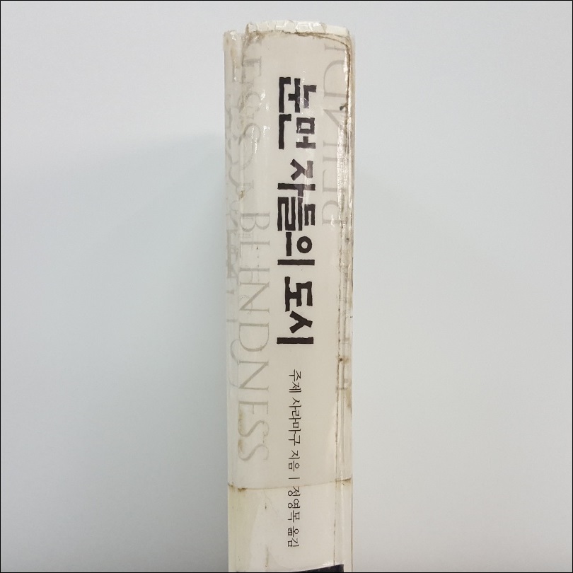 눈먼자들의_도시.jpg