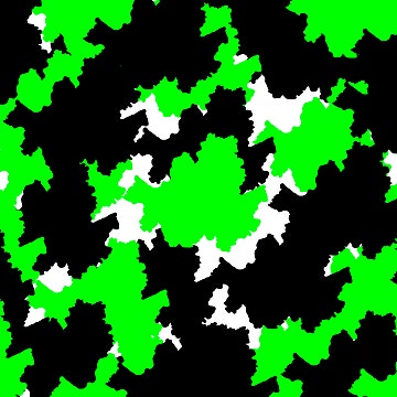 38456915.jpg